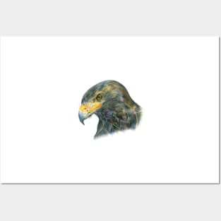 Eagle Head Hand Drawn Illustration Posters and Art